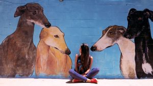 Mural para la Asociación Amigo Galgo. Cristina Geneiro. 2017.